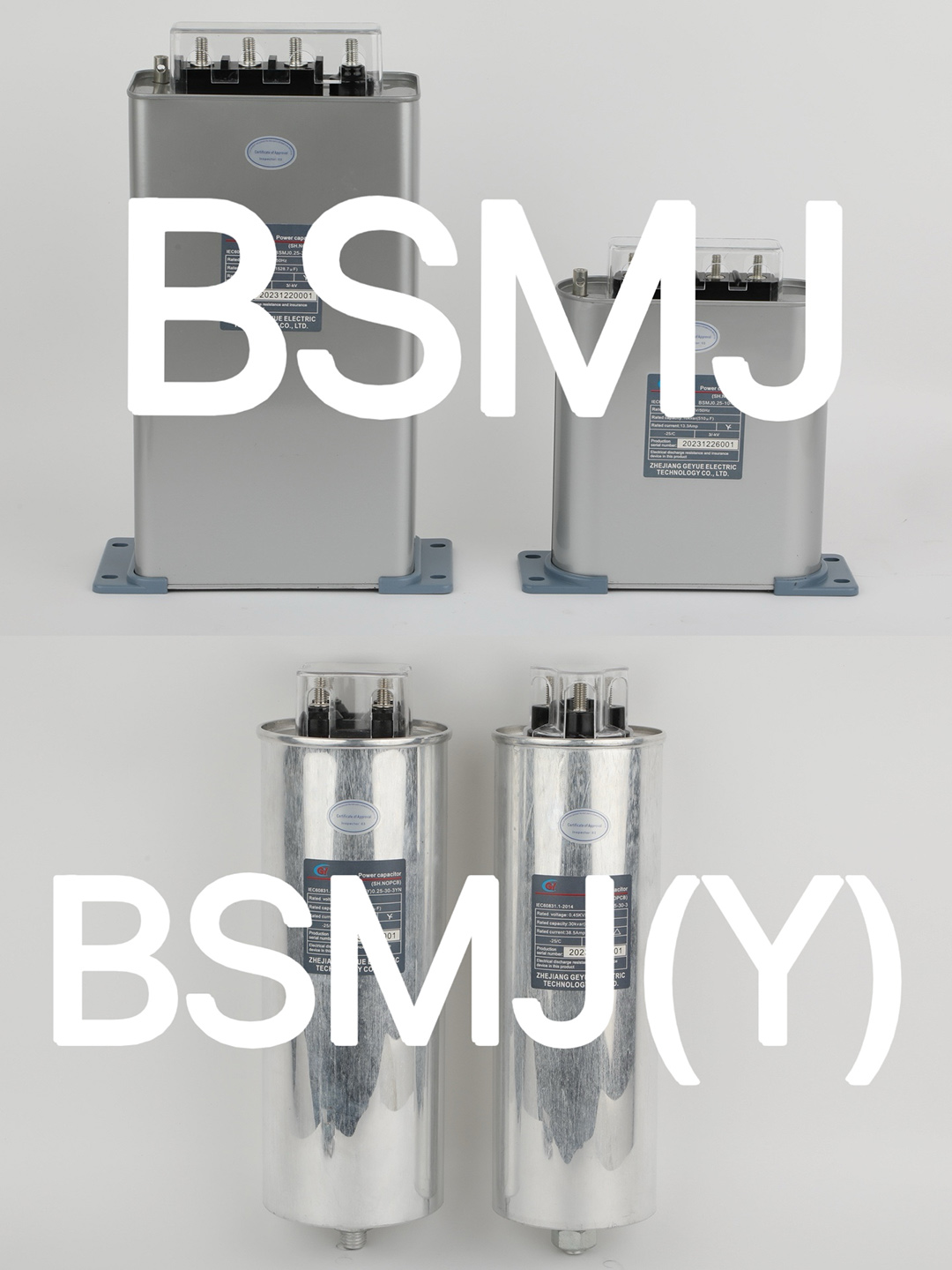 FAQ 1: Cosa rappresentano rispettivamente BSMJ e BSMJ(Y)?